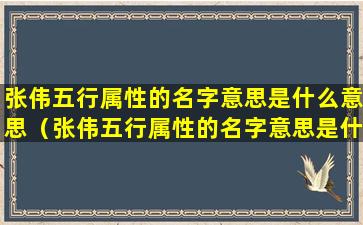 张伟五行属性的名字意思是什么意思（张伟五行属性的名字意思是什么意思啊）