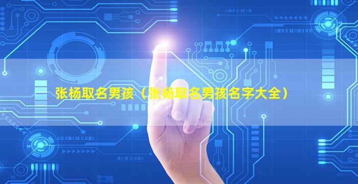 张杨取名男孩（张杨取名男孩名字大全）