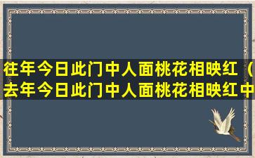 往年今日此门中人面桃花相映红（去年今日此门中人面桃花相映红中的人面是属于什么过程）