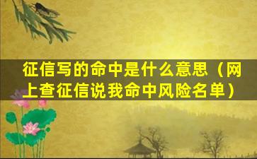 征信写的命中是什么意思（网上查征信说我命中风险名单）