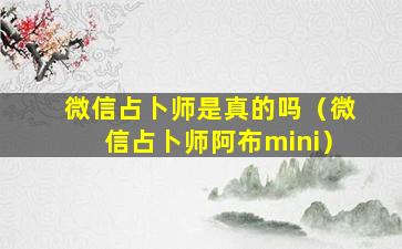 微信占卜师是真的吗（微信占卜师阿布mini）