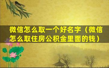 微信怎么取一个好名字（微信怎么取住房公积金里面的钱）