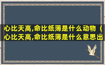 心比天高,命比纸薄是什么动物（心比天高,命比纸薄是什么意思出自）