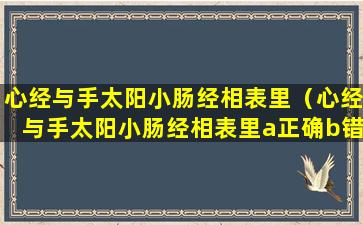 心经与手太阳小肠经相表里（心经与手太阳小肠经相表里a正确b错误）