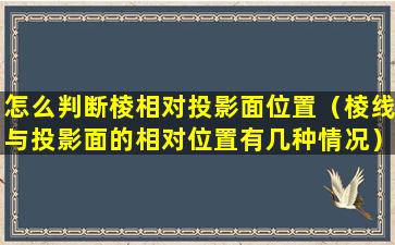 怎么判断棱相对投影面位置（棱线与投影面的相对位置有几种情况）