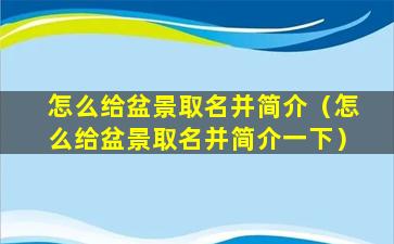 怎么给盆景取名并简介（怎么给盆景取名并简介一下）