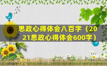 思政心得体会八百字（2021思政心得体会600字）