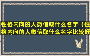 性格内向的人微信取什么名字（性格内向的人微信取什么名字比较好）