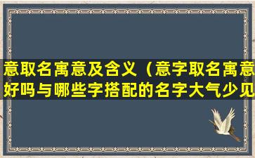 意取名寓意及含义（意字取名寓意好吗与哪些字搭配的名字大气少见）