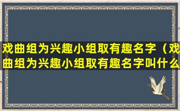 戏曲组为兴趣小组取有趣名字（戏曲组为兴趣小组取有趣名字叫什么）