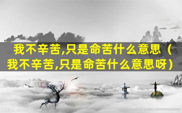 我不辛苦,只是命苦什么意思（我不辛苦,只是命苦什么意思呀）