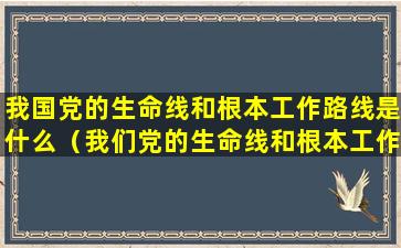 我国党的生命线和根本工作路线是什么（我们党的生命线和根本工作路线是什么路线）