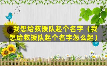 我想给救援队起个名字（我想给救援队起个名字怎么起）