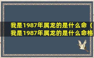 我是1987年属龙的是什么命（我是1987年属龙的是什么命格）