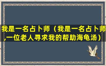 我是一名占卜师（我是一名占卜师,一位老人寻求我的帮助海龟汤）