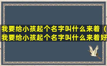 我要给小孩起个名字叫什么来着（我要给小孩起个名字叫什么来着好听）