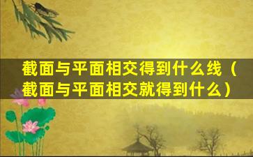 截面与平面相交得到什么线（截面与平面相交就得到什么）