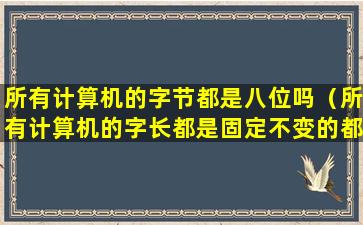 所有计算机的字节都是八位吗（所有计算机的字长都是固定不变的都是八位对吗）