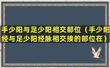 手少阳与足少阳相交部位（手少阳经与足少阳经脉相交接的部位在）