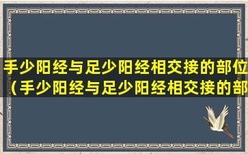 手少阳经与足少阳经相交接的部位（手少阳经与足少阳经相交接的部位是什么）