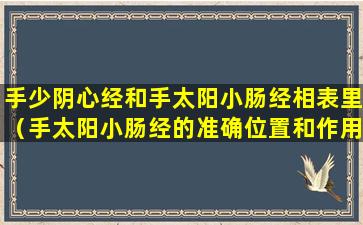 手少阴心经和手太阳小肠经相表里（手太阳小肠经的准确位置和作用）