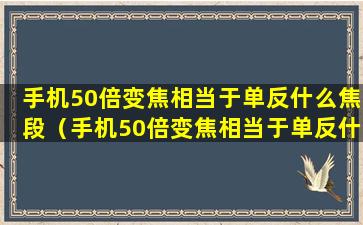 手机50倍变焦相当于单反什么焦段（手机50倍变焦相当于单反什么焦段的镜头）