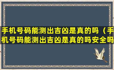 手机号码能测出吉凶是真的吗（手机号码能测出吉凶是真的吗安全吗）