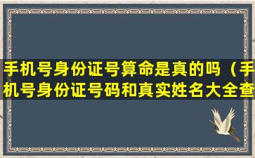 手机号身份证号算命是真的吗（手机号身份证号码和真实姓名大全查询）