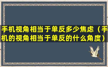 手机视角相当于单反多少焦虑（手机的视角相当于单反的什么角度）