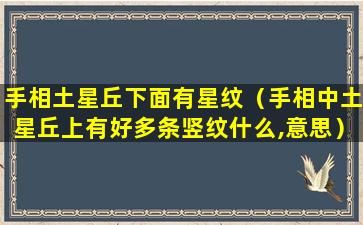 手相土星丘下面有星纹（手相中土星丘上有好多条竖纹什么,意思）