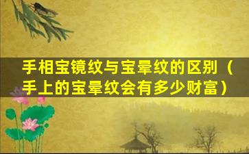 手相宝镜纹与宝晕纹的区别（手上的宝晕纹会有多少财富）