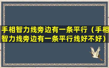 手相智力线旁边有一条平行（手相智力线旁边有一条平行线好不好）