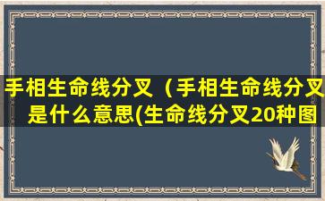 手相生命线分叉（手相生命线分叉是什么意思(生命线分叉20种图解)）