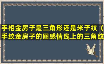 手相金房子是三角形还是米子纹（手纹金房子的图感情线上的三角纹）