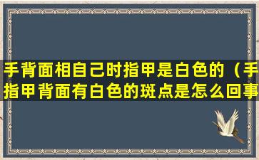 手背面相自己时指甲是白色的（手指甲背面有白色的斑点是怎么回事）