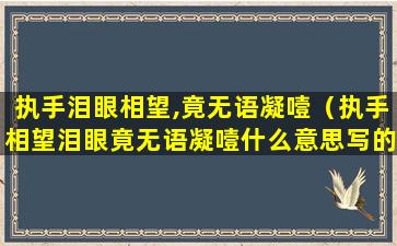 执手泪眼相望,竟无语凝噎（执手相望泪眼竟无语凝噎什么意思写的朋友么）