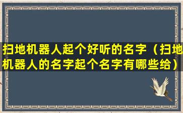 扫地机器人起个好听的名字（扫地机器人的名字起个名字有哪些给）