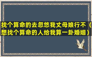 找个算命的去忽悠我丈母娘行不（想找个算命的人给我算一卦婚姻）