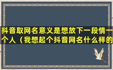 抖音取网名意义是想放下一段情一个人（我想起个抖音网名什么样的好听）