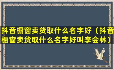 抖音橱窗卖货取什么名字好（抖音橱窗卖货取什么名字好叫李会林）