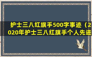 护士三八红旗手500字事迹（2020年护士三八红旗手个人先进事迹）