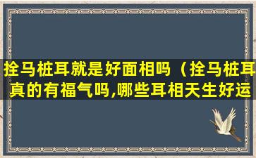 拴马桩耳就是好面相吗（拴马桩耳真的有福气吗,哪些耳相天生好运）