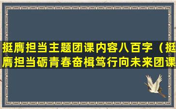 挺膺担当主题团课内容八百字（挺膺担当砺青春奋楫笃行向未来团课心得）