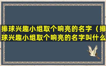 排球兴趣小组取个响亮的名字（排球兴趣小组取个响亮的名字叫什么）