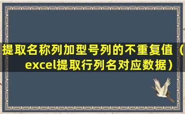 提取名称列加型号列的不重复值（excel提取行列名对应数据）