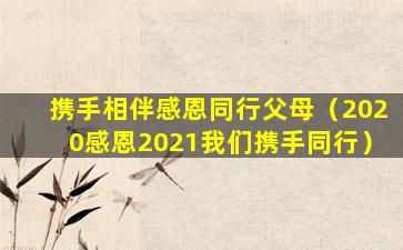 携手相伴感恩同行父母（2020感恩2021我们携手同行）