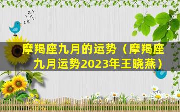 摩羯座九月的运势（摩羯座九月运势2023年王晓燕）