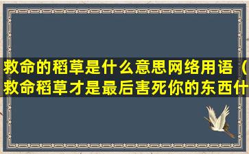 救命的稻草是什么意思网络用语（救命稻草才是最后害死你的东西什么意思）