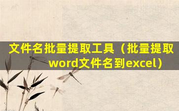 文件名批量提取工具（批量提取word文件名到excel）