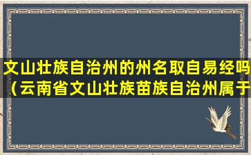 文山壮族自治州的州名取自易经吗（云南省文山壮族苗族自治州属于哪个民族）